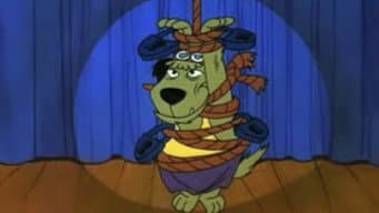 O Maravilhoso Muttley-Dini