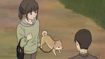 Cachorrinho