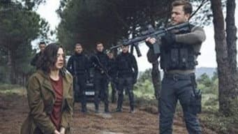Episódio 29
