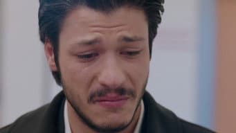 Episódio 14