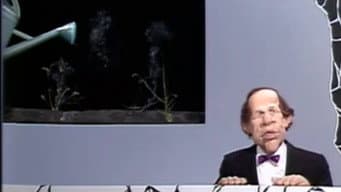 Episódio 23