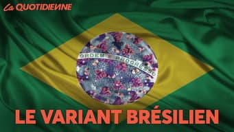Episódio 228