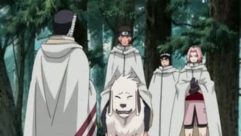 A Determinação de Sakura