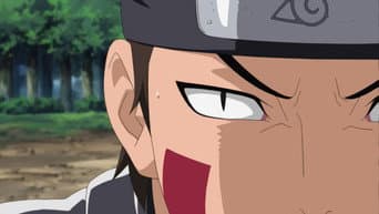 A Determinação de Kiba