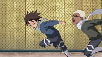Killer Bee e Motoi