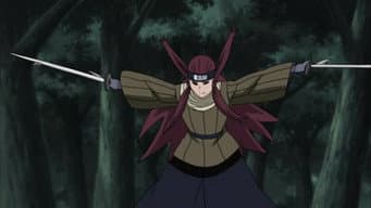 As Espadas dos Raios: Ringo Ameyuri!