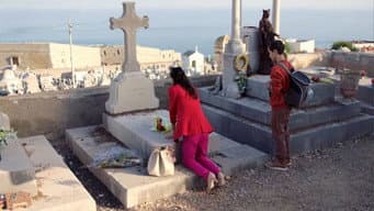 Episódio 316