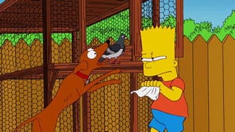 Pobre Pomba