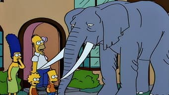 Bart Ganha um Elefante