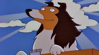 Motim Canino