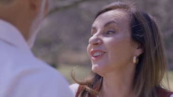 Episódio 22