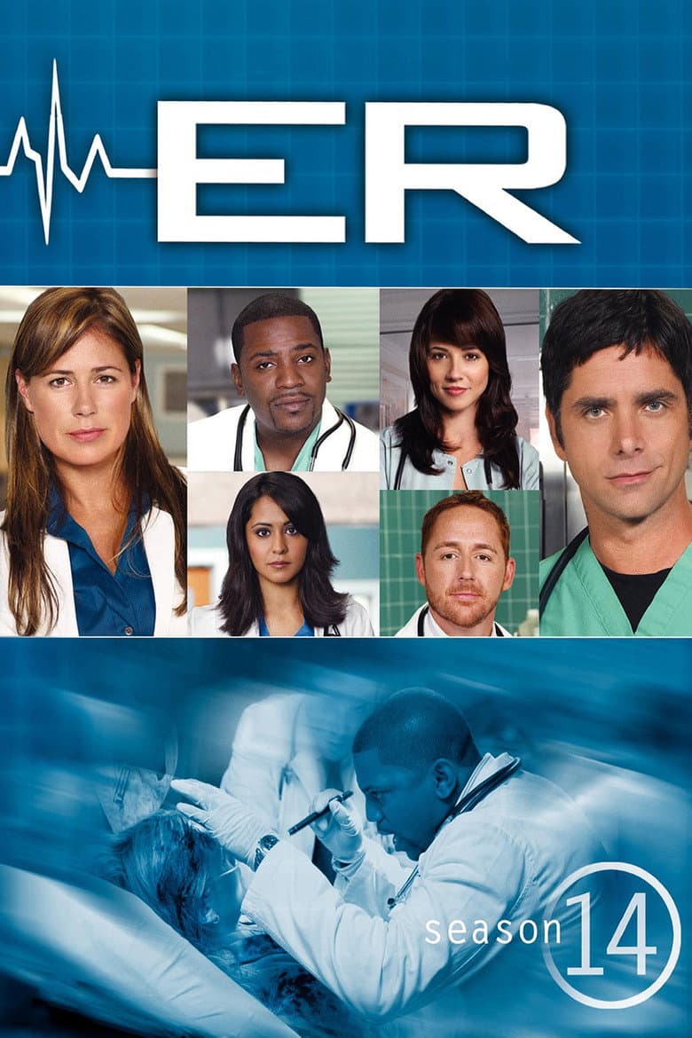 Temporada 14