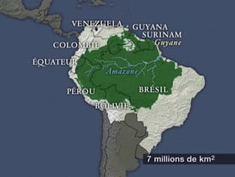 Episódio 7