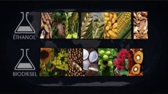 Episódio 16