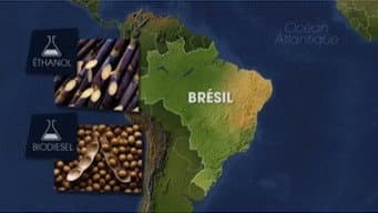 Episódio 17