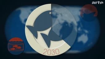 Episódio 29