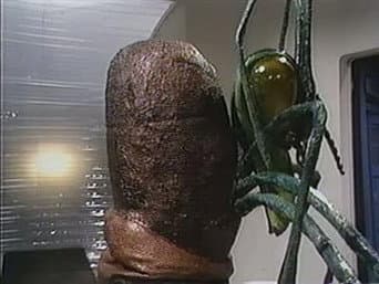 Episódio 8
