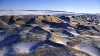 Desertos
