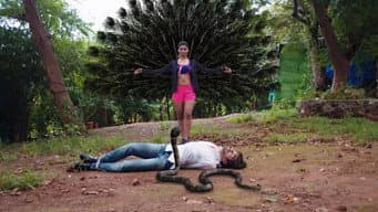 Episódio 13