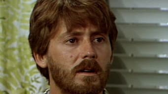 Capítulo 33