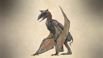 O Monstro de Van Meter
