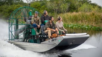 A Fera dos Everglades