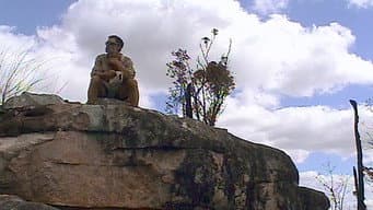 Os Quatro Finalistas
