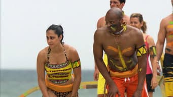 Não Fique Cego Pelos 'faróis'