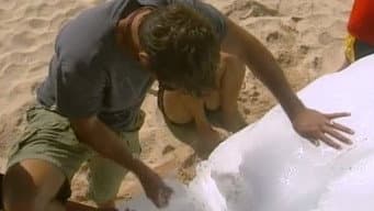 Episódio 12