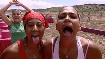 Episódio 5