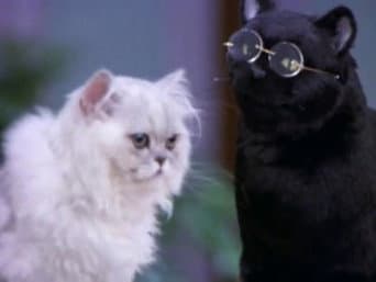 Salem e Juliette