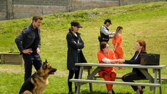 Episódio 7