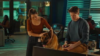 Episódio 8