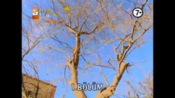 Episódio 1