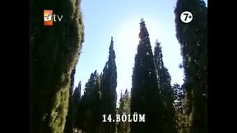 Episódio 14