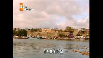 Episódio 17