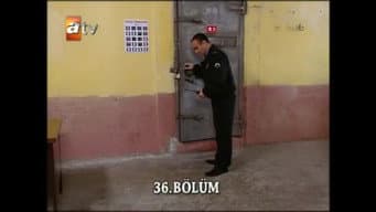 Episódio 10