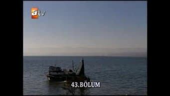 Episódio 17