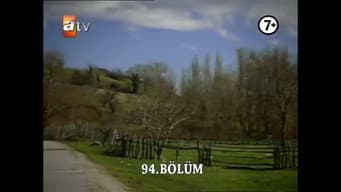 Episódio 29