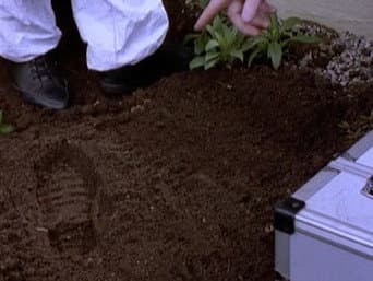 Episódio 5