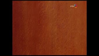 Episódio 12