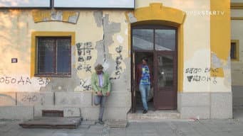 Episódio 24