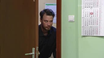 Episódio 206