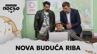 Episódio 17