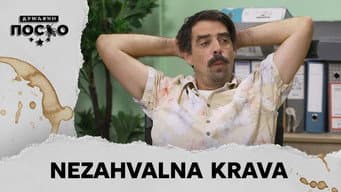 Episódio 12