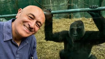 Episódio 4