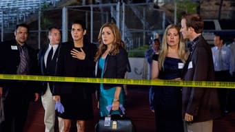 Episódio 13