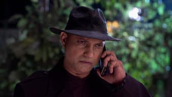 Episódio 335