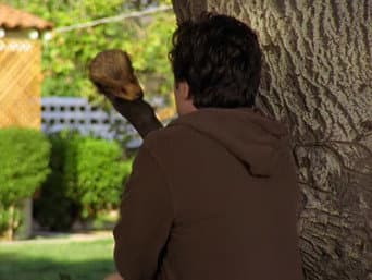 Episódio 8