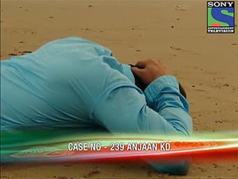 Episódio 239